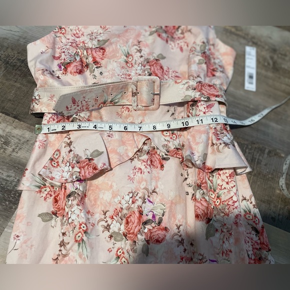 NWT Antonio Melani size 8 pink beige green sleeveless belted dress. - Picture 8 of 9